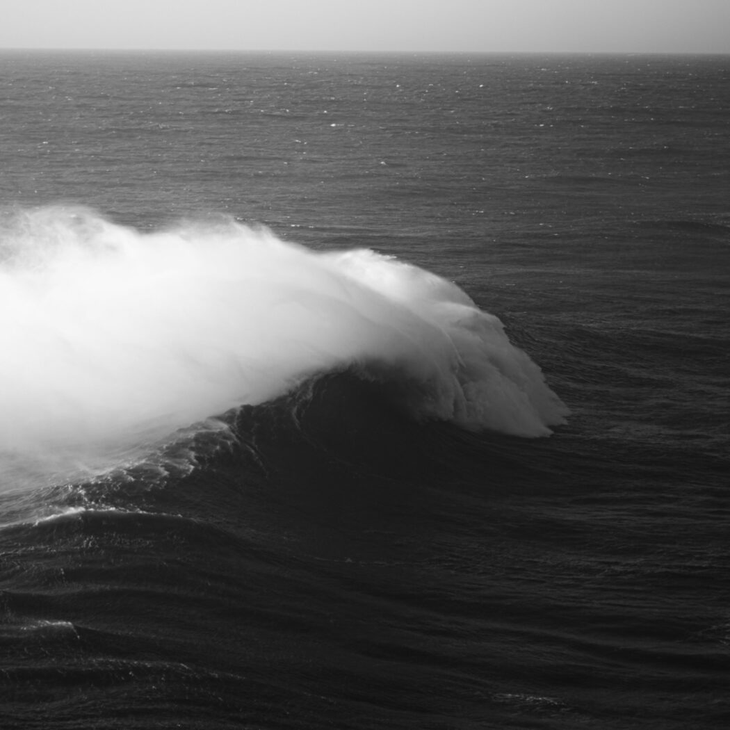 EXPORT_NAZARE_02.10.20-3